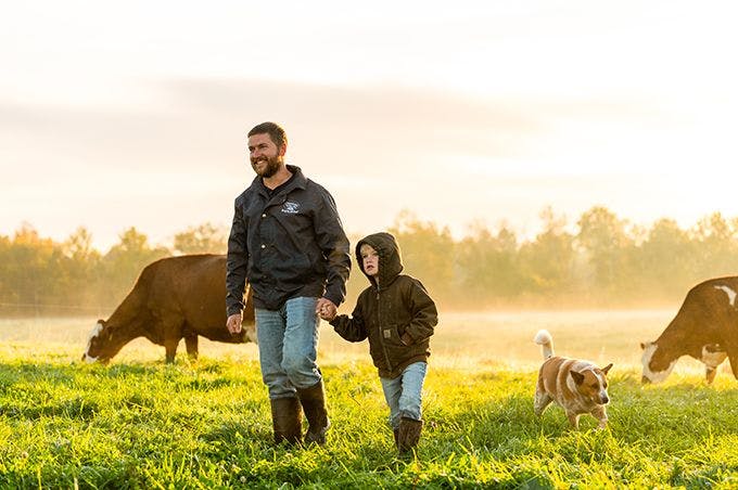 Farmer and son holding hands and walking with cows and farm dog in pasture.