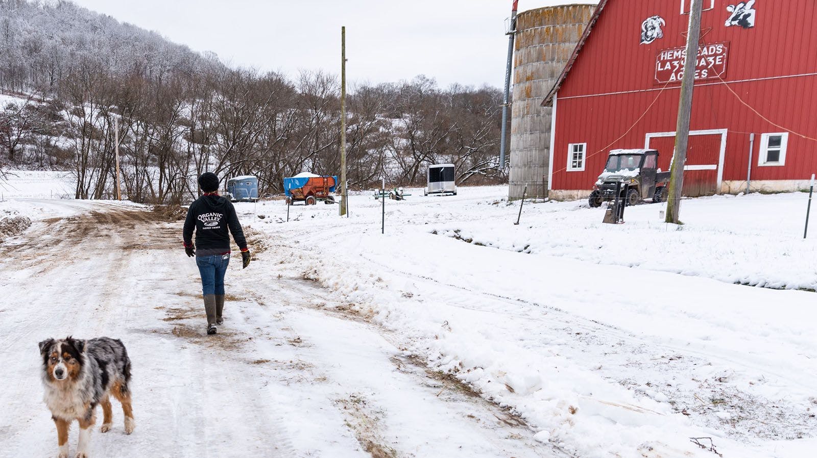 Walking out to the barn for chores.