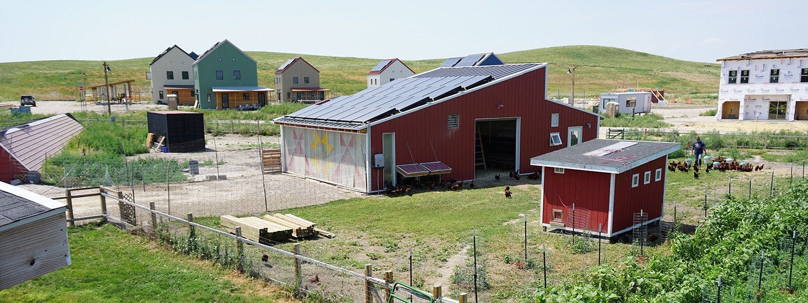 The Food Sovereignty Initiative is using chickens to regenerate a food system and the soil