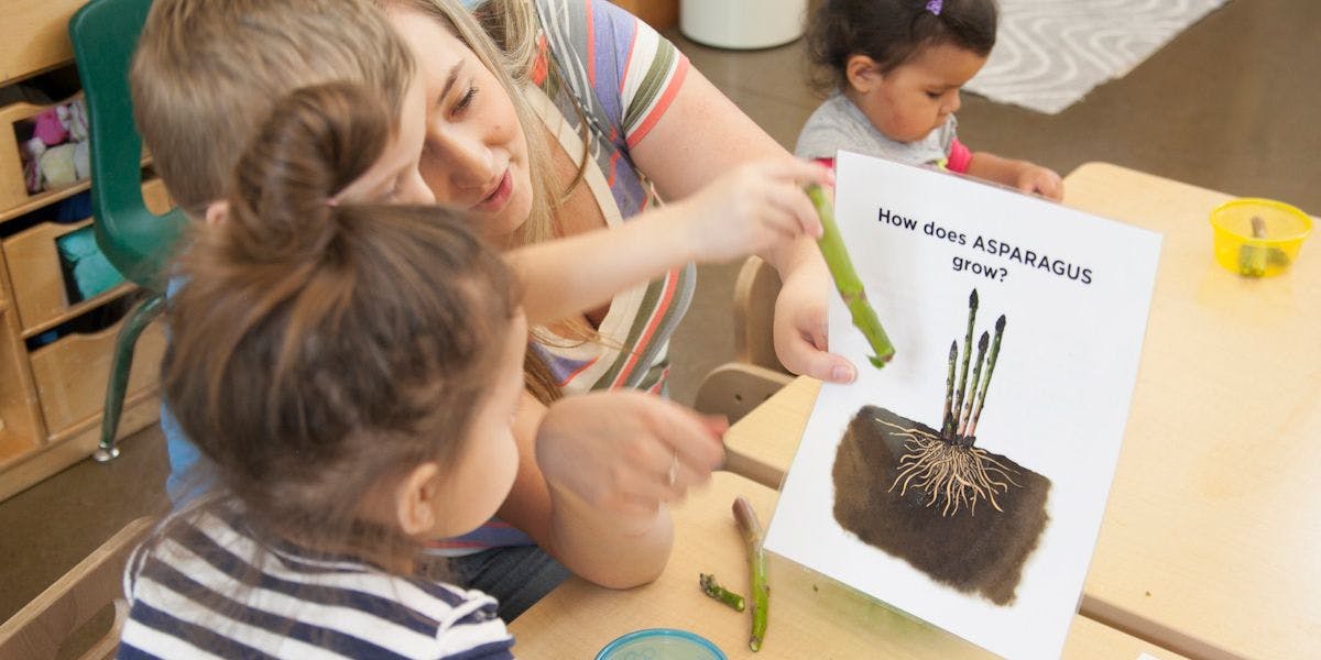 Teaching kids how food grows.