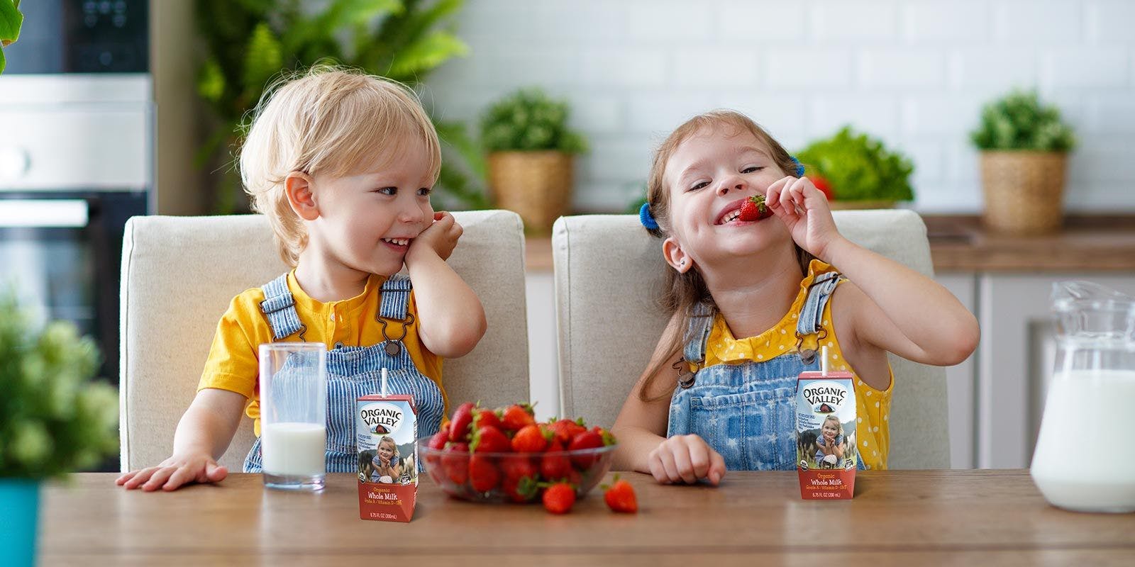 Children sitting down for a snack of Organic Valley single-serve milk and organic strawberries.