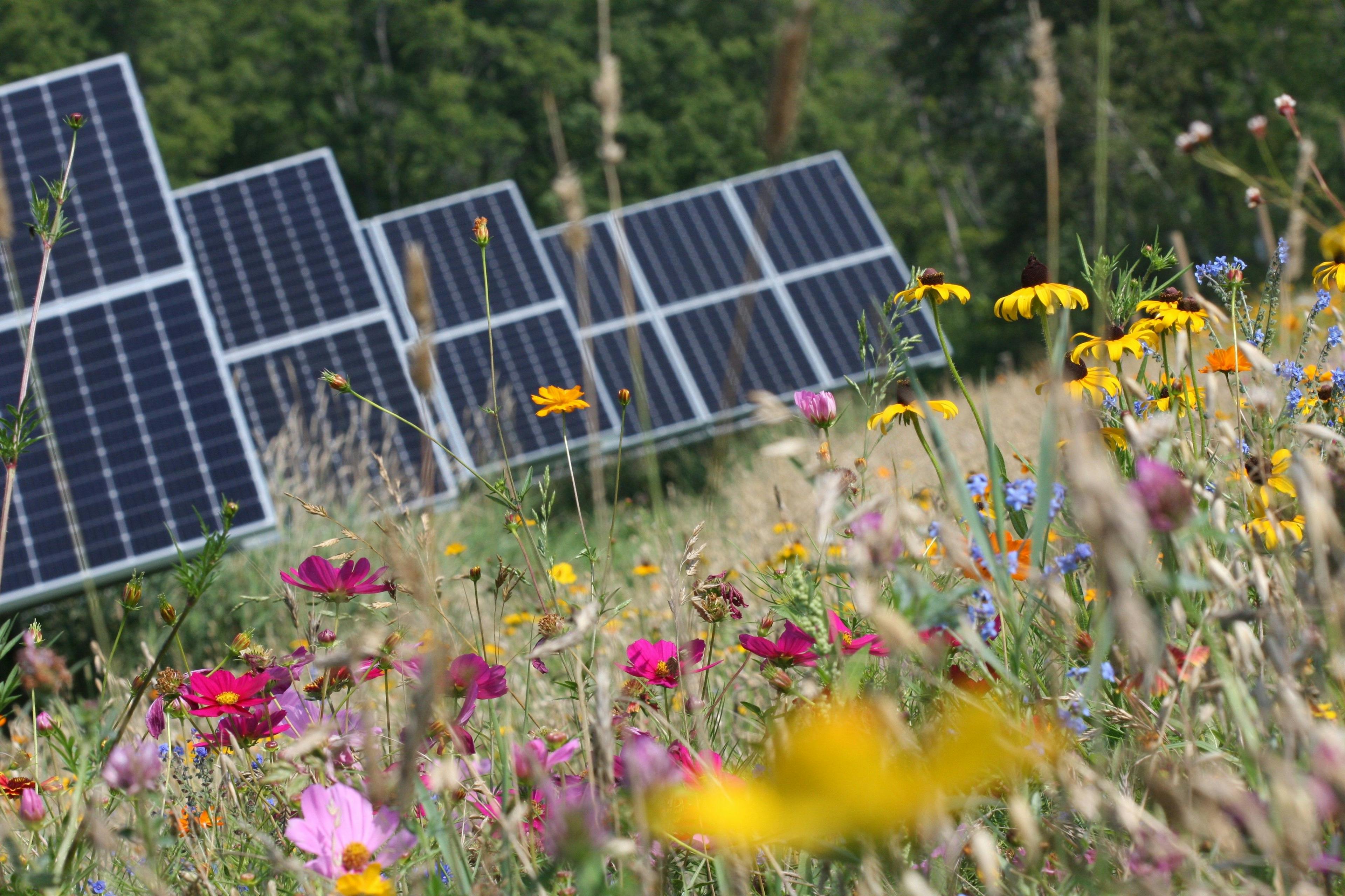 Renewable energy installations at Organic Valley farmstead