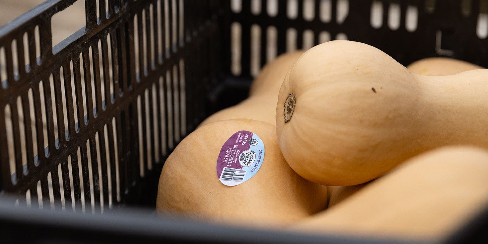 Squash in bins.