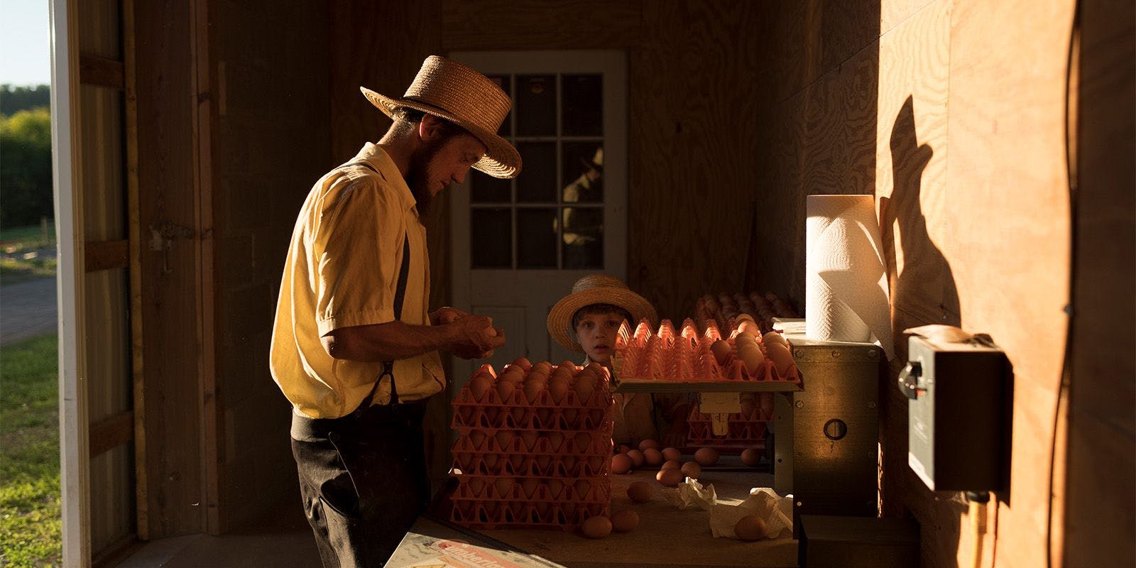 The Glick family places eggs in crates at their organic egg farm in Pennsylvania.