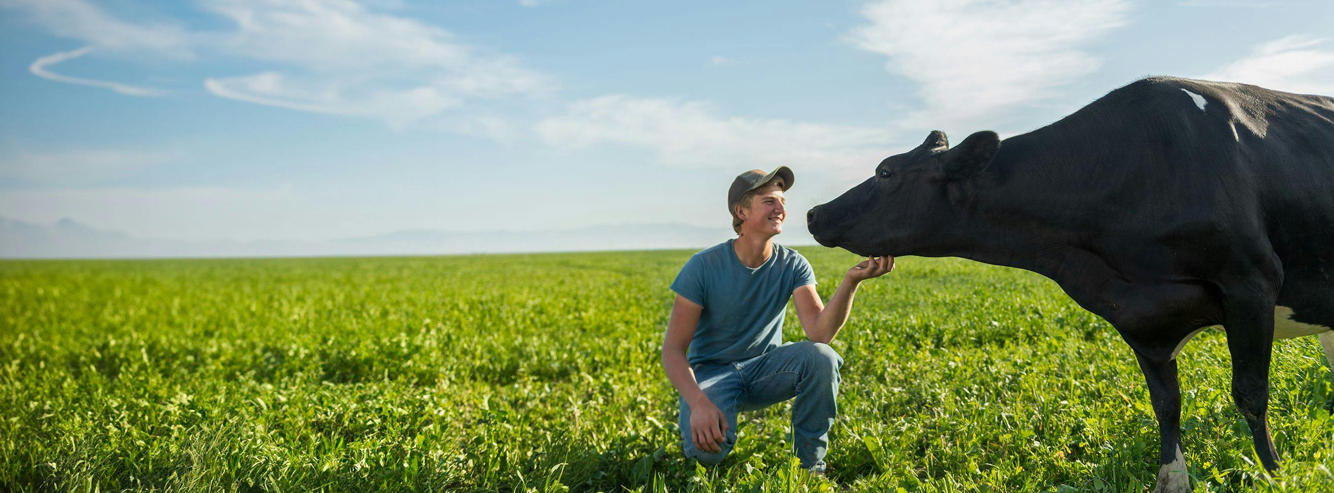 A farmer kneeling in the grass next to a cow.