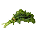 kale