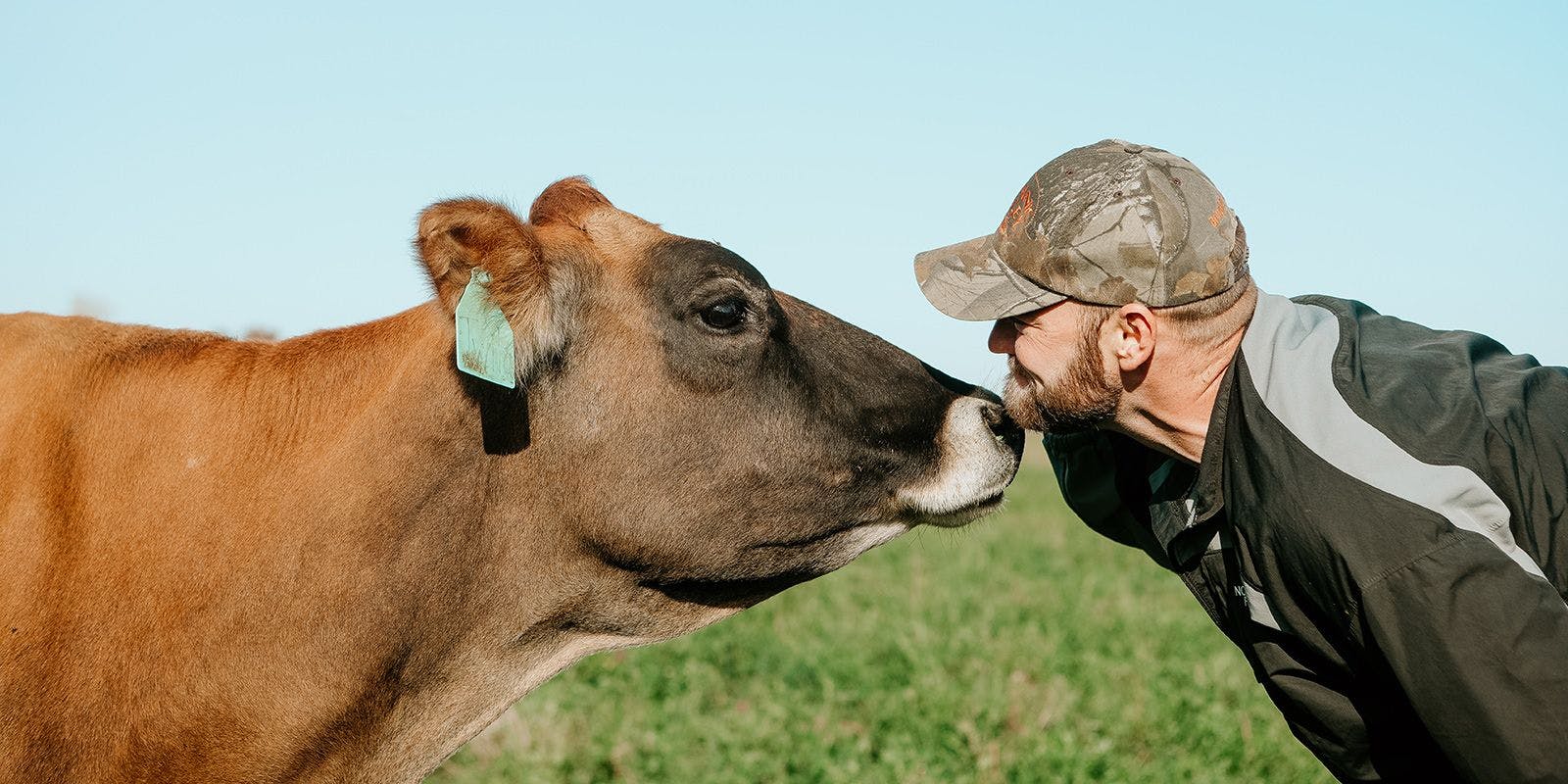 Farmer Jordan Settlage kisses a cow in an open pasture.