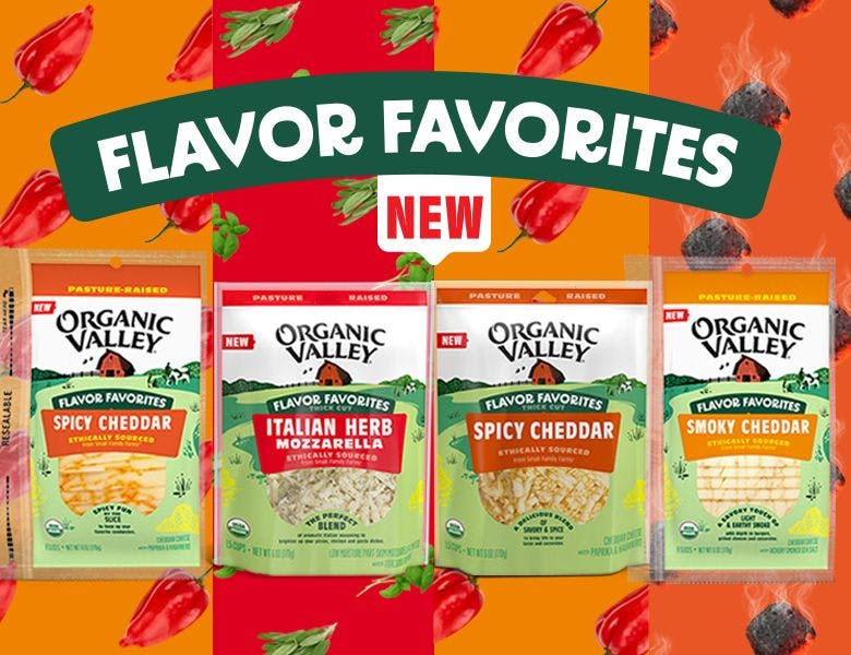 Flavor Favorites Graphic