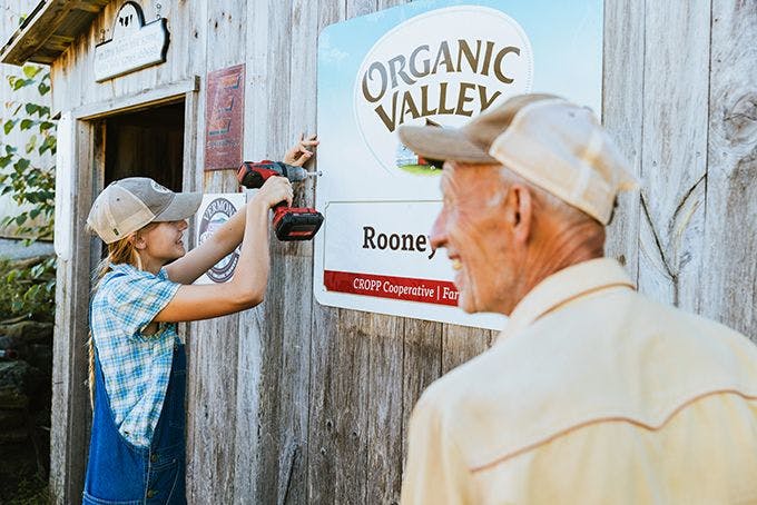 Rooney farmers installing an Organic Valley sign on their barn.