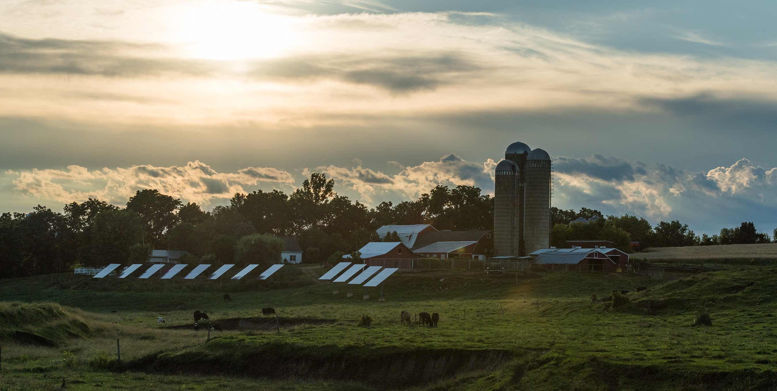 An Organic Valley farm with solar panels